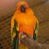 Avian Edutainment at Weltvogelpark Walsrode